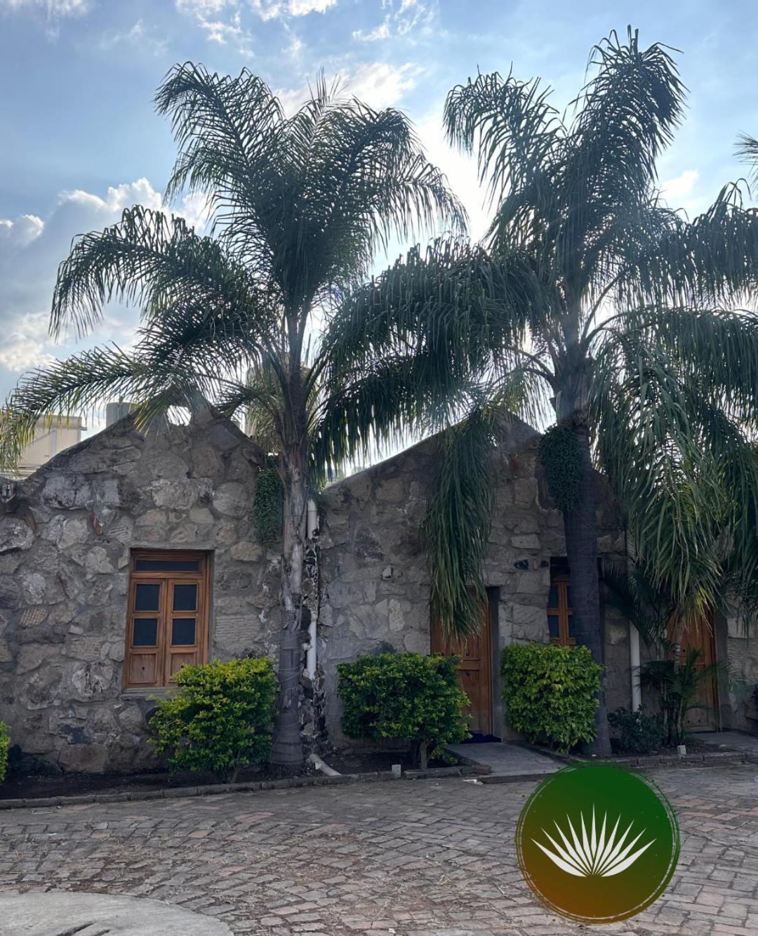 Terraza Monteagave Hotell Tequila Exteriör bild